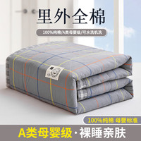 suo zhen 索臻 轻奢全棉水洗棉夏凉被四件套夏季空调被纯棉夏凉被可机洗双人被子 时光 200