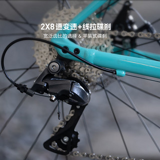 SPECIALIZED 闪电 ALLEZ E5 DISC 公路自行车 湖蓝/酷灰/火焰色 28速 49寸