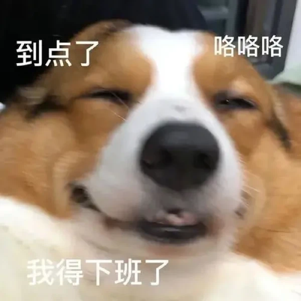 全国热门脱口秀推荐指南（六十三）
