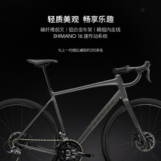 TREK 崔克 DOMANE AL 2 公路自行车 41587D 哑光灰色 16速 44CM