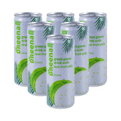 DReena 特丽娜 马来西亚特丽娜番石榴果汁饮料240ml