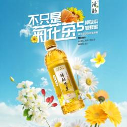 Sensa Cools 清酷 本草凉茶植物饮料 350ml*12瓶