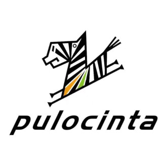 Pulocinta
