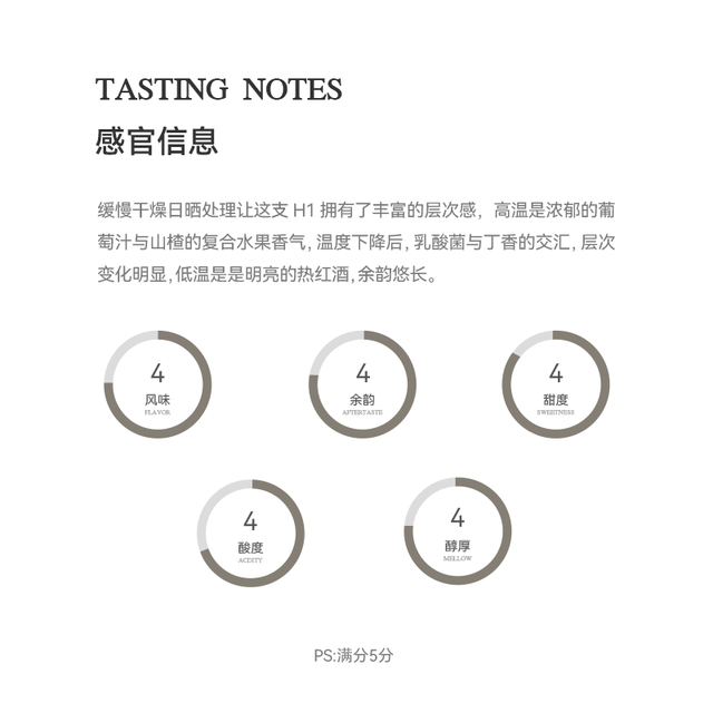 GO TO COFFEE 哥斯达黎加 V&G庄园 缓慢干燥日晒 手冲咖啡豆 125g