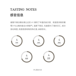 GO TO COFFEE 哥斯达黎加 V&G庄园 缓慢干燥日晒 手冲咖啡豆 125g