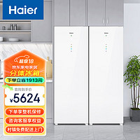 海尔（Haier）立式冷柜BD-208WGHW1+立式冷柜BD-208WGHW1