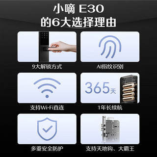 德施曼（DESMAN）智能门锁 电子锁家用防盗门锁指纹密码锁 小嘀E30