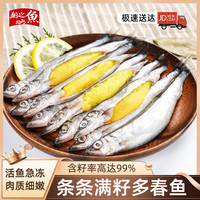 翔之鱼 挪威大号满籽多春鱼500g*3 烧烤食材 中秋源头直发