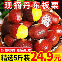 绿鲜森（lvxiansen）丹东新鲜板栗当季大板栗生新鲜东北锥栗野生板栗 中果 2.5kg （单果15g起）