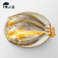 黄小渔 晚20点：黄小渔 醇香黄鱼鲞250g*6条（净重1.5kg）