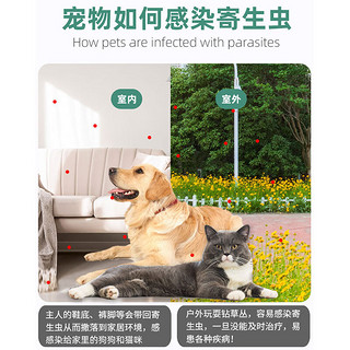 MOFEI犬猫通用体外驱虫喷剂100ML 宠物狗狗猫咪快速灭跳蚤除杀虱子螨虫杀虫剂驱蜱虫打虫药家用环境杀虫喷雾