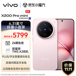 vivo X200 Pro mini 16GB+1TB 微粉