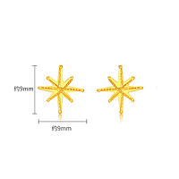 潮宏基 足金5G黄金耳钉女款耳饰计价 星星 EEG30003212 一对款