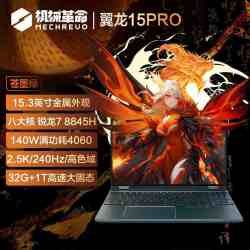 MECHREVO 机械革命 翼龙15 Pro 15.3英寸游戏本（R7-8845H、32GB、1TB、RTX 4060）