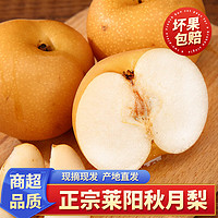 泽华果品 山东莱阳羊脂秋月梨4.5 -5斤