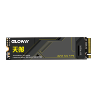 GLOWAY 光威 天策系列 512GB SSD固态硬盘 512GB （PCIe 3.0x4 ）