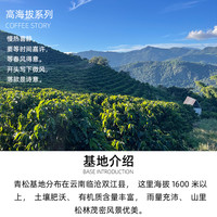秋珀庄园 高海拔系列 厌氧日晒 卡蒂姆 咖啡豆 120g