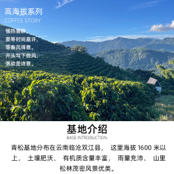 秋珀庄园 高海拔系列 厌氧日晒 卡蒂姆 咖啡豆 120g