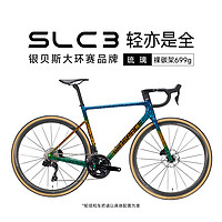 银贝斯 Winspace新品SLC3碳纤维轻量公路自行车全能战车爬坡综合架油碟车 涂装