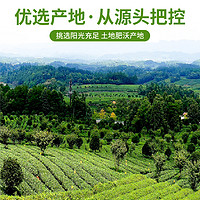 麟德堂 正宗茉莉绿茶冷泡茶叶包清香型青提果茶网红夏天泡水饮品旗舰店