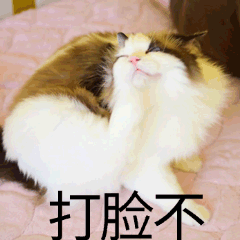 吃货课代表召集令!双11抄作业爆料大赛来袭,跟着食品菌快速上车!