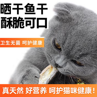 熊熊良铺 猫咪零食小鱼干宠物无盐成猫增肥发腮幼猫补钙磨牙磷虾多春鱼冻干