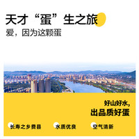 宝宝树DHA鸡蛋可生食营养蛋新鲜无沙门氏菌30枚