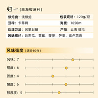 秋珀庄园 归一 日晒 烘焙豆 高海拔系列 120g