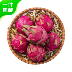 Mr.Seafood 京鲜生 广西红心火龙果4,5斤装（单果300g）