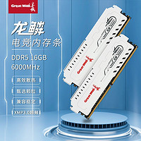 百亿补贴：Great Wall 长城 DDR5 16g/32g 6000MHz台式机内存条马甲条Intel/AMD通用套条