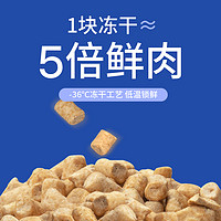 88VIP：海洋之星 双拼肉源犬粮冻干生骨肉试吃50g 泰迪柯基主粮狗粮