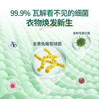 Kispa 好爸爸 洗衣液除菌除螨除味持久留香实惠家用促销组合两瓶装正品