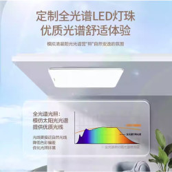 Panasonic 松下 明畔全光谱120瓦6079LS