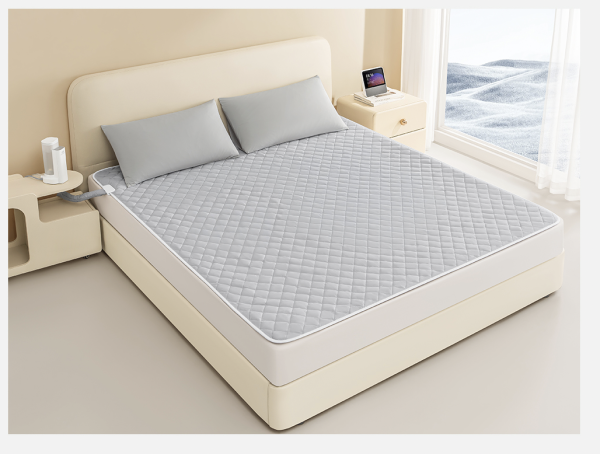 Letsleep 绘睡 恒温舒眠水暖毯