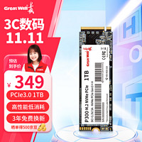 Great Wall 长城 SSD固态硬盘M.2接口(NVMe协议)PCIe3.0x4 P300笔记本通用硬盘 畅玩游P300-1TB 固态硬盘