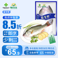 极专鲜三去开背淡水鲈鱼鲜活冷冻刺少肉厚免杀免洗开袋即烹水产生鲜鱼类 250g-300g*5条