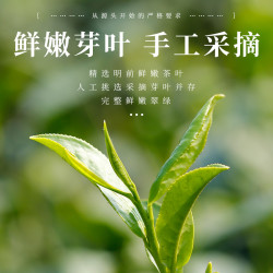 川红 官方林湖炒青绿茶特级浓香 明前绿茶口粮茶250g