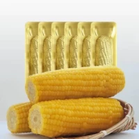 农投康良 东北黄糯玉米 220g*8棒