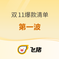 主打不加价!史无前例的卷!2024年飞猪双11爆款清单