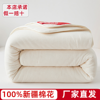 天生俪质 100%新疆棉花被冬被棉被全棉被子