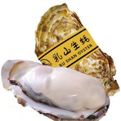 牧海翁 乳山生蚝 XXXL 5斤装 约18只（ 顺丰冷链 坏蚝包赔）