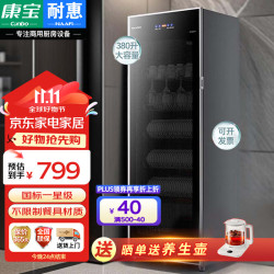 NAAFI 耐惠 中温消毒柜 商用家用厨房立式消毒碗柜紫外线碗筷柜大容量奶瓶茶杯餐具消毒机ZTP380X-M1