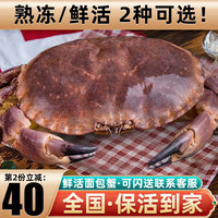 鲜味时刻 超大面包蟹鲜活熟冻大螃蟹特大海鲜水产 鲜活1200-1400g/只(包活到家)