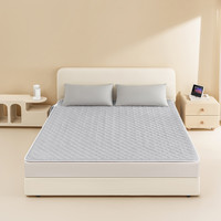 Letsleep 绘睡 HSWS-1 智控恒温速热水暖垫 灰色 120*200cm