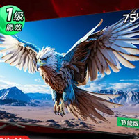 FFALCON 雷鸟 鹏6 24款 电视机75英寸 120Hz动态加速 3+64GB 一级能效家电补贴游戏液晶平板电视75S375C-JN