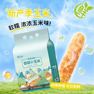 云南西双版纳 香糯小玉米 1.5kg