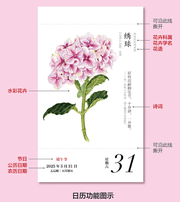 《花开有时》2025年日历