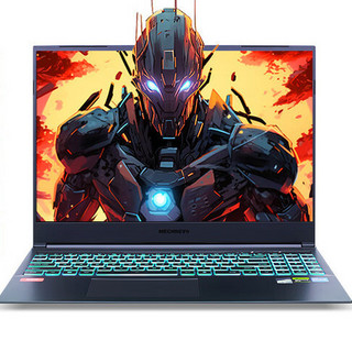 机械革命 极光16 （酷睿i7-13620H、RTX 4060 8G、16GB、1TB SSD、2.5K、IPS、165Hz）