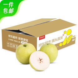 Mr.Seafood 京鲜生 河北青皮皇冠梨 净重1.5KG 单果220g+