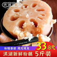 洪湖农家 洪湖粉藕 煲汤 莲藕 火锅食材 生鲜 新鲜蔬菜 洪湖莲藕  湖北特产 粉藕3斤